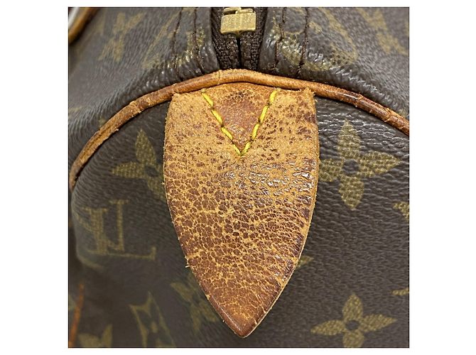 Bolso de mano Louis Vuitton Monogram Speedy 25 - vista 5