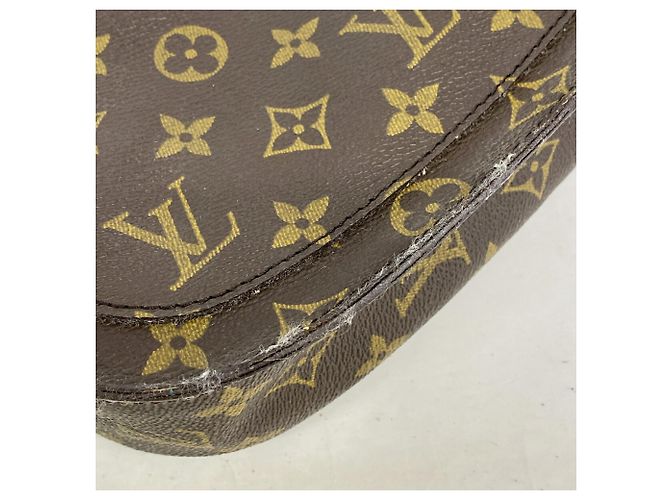 Bolso de hombro Louis Vuitton Monogram Saint Cloud GM - vista 11