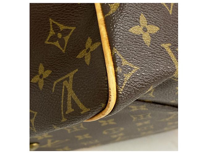 Louis Vuitton Boston Monogram Carryall - vista 7