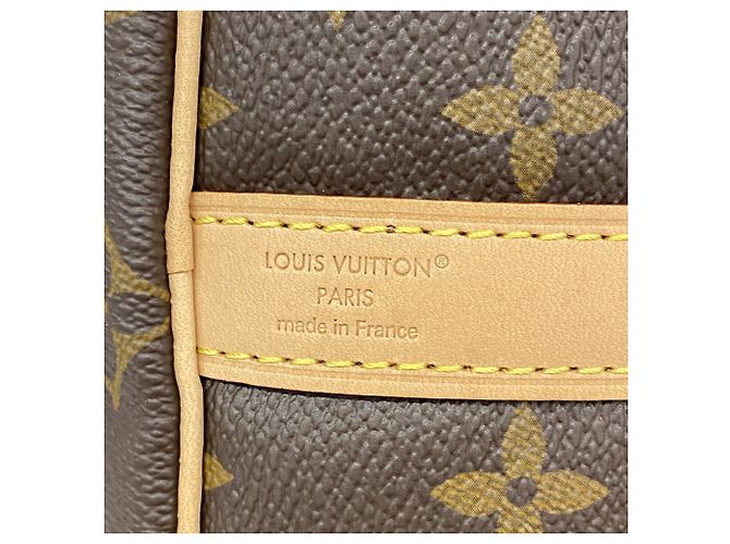 Borsa Louis Vuitton Monogram Speedy Bandoulière 25 - vista 5