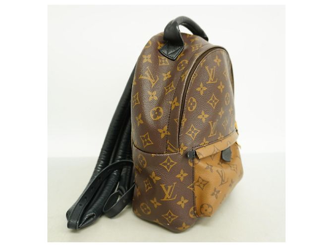 Louis Vuitton Monogram Reverse Palm Springs Rucksack PM - Ansicht 2