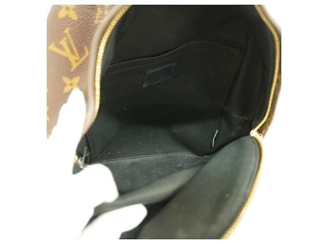 Louis Vuitton Monogram Reverse Palm Springs Rucksack PM - Ansicht 4