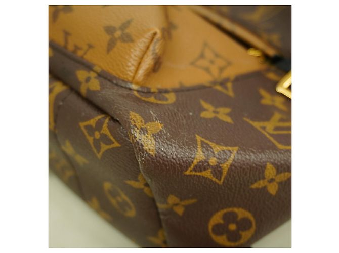 Louis Vuitton Monogram Reverse Palm Springs Rucksack PM - Ansicht 6