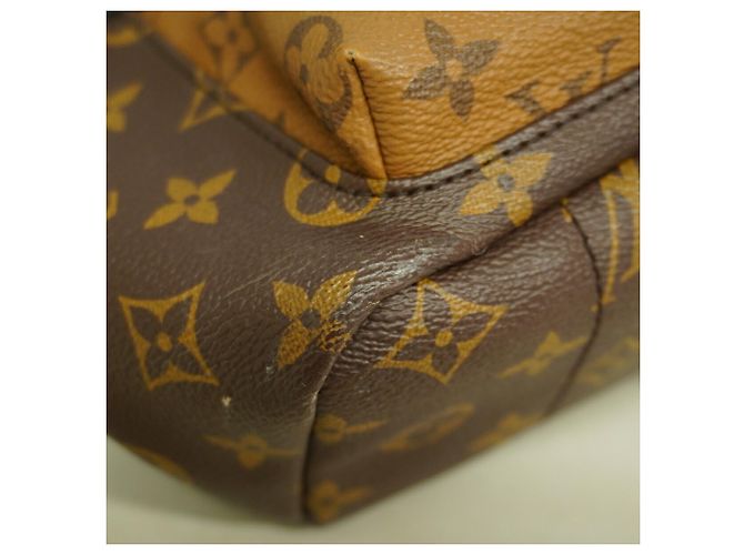 Louis Vuitton Monogram Reverse Palm Springs Rucksack PM - Ansicht 7