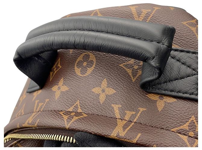 Palm Springs Louis Vuitton Monogram Handtasche - Ansicht 8