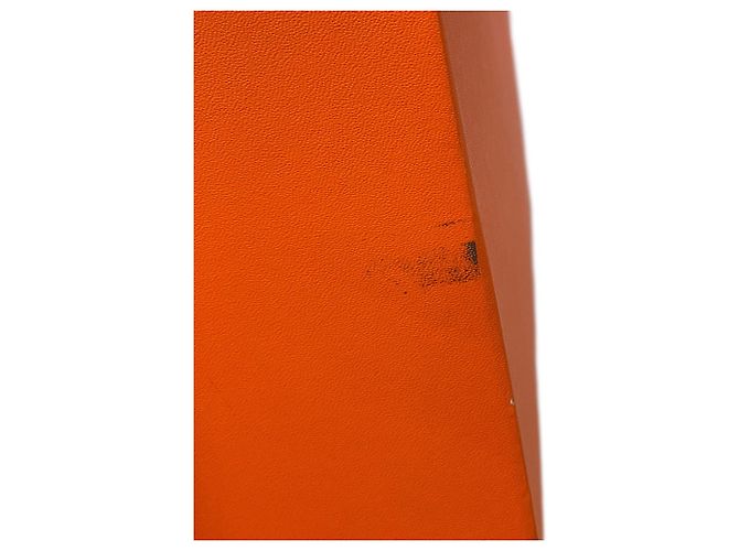 Hermès Borsa Tote Hermes Garden TPM - vista 13