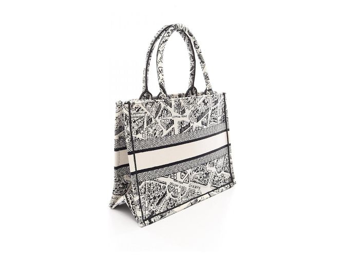 Borsa Christian Dior Book Tote Medium Plan de Paris - vista 2