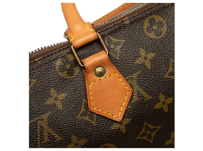 Louis Vuitton Brown Monogram Speedy 30 - vista 6
