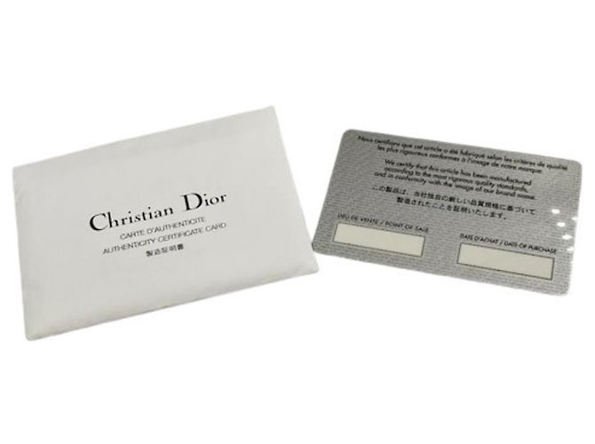 Borsa a tracolla Christian Dior Trotter Street Chic - vista 12