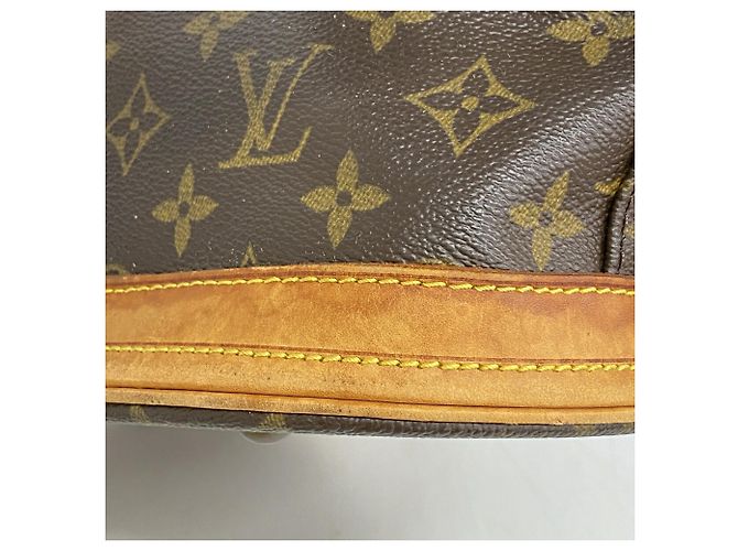Louis Vuitton Monogram Bucket PM Tote Bag - view 9
