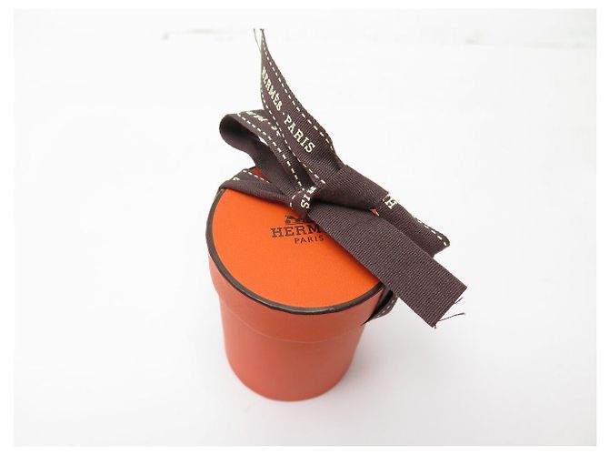 Hermès NEUER HERMES TWILLY SCHAL H853702S SOUS LE CHARME D'ORPHEE BAGUETTE SCARF - Ansicht 10