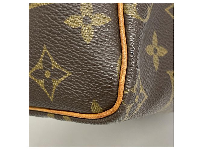 Borsa Louis Vuitton Monogram Speedy 25 - vista 6