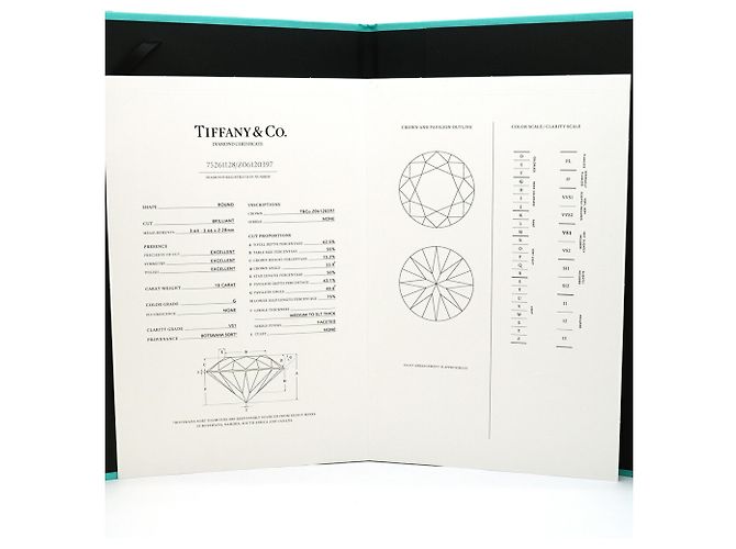 Autre Marque Orecchini a lobo in platino e diamanti Tiffany & Co. - vista 10