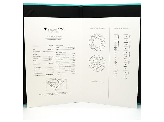 Autre Marque Orecchini a lobo in platino e diamanti Tiffany & Co. - vista 9