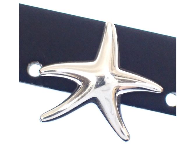Autre Marque Pendientes de estrella de mar en plata Tiffany & Co. - vista 2