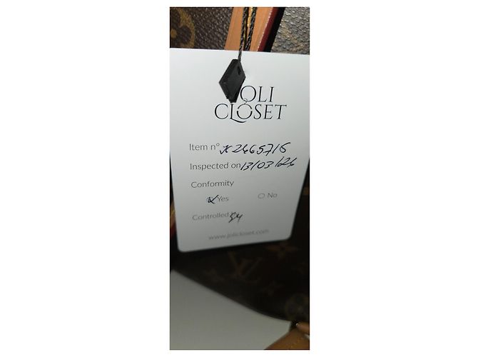 Mochila Louis Vuitton Montsouris NM PM Monogram - vista 13