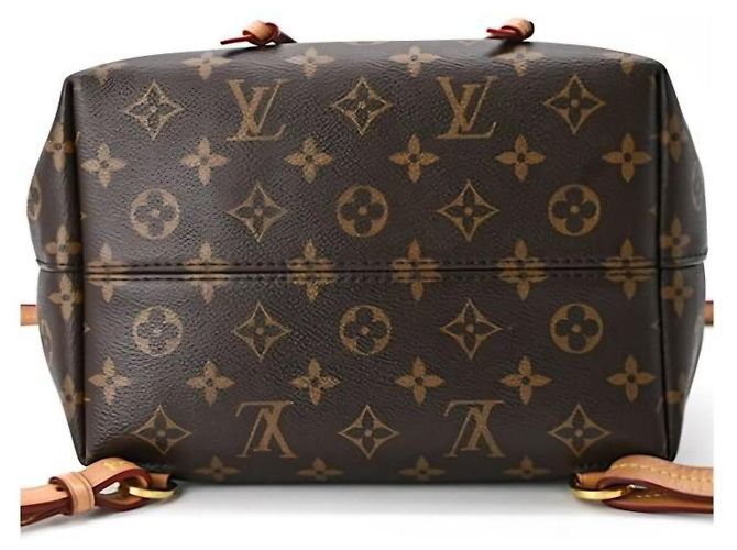 Mochila Louis Vuitton Montsouris NM PM Monogram - vista 4
