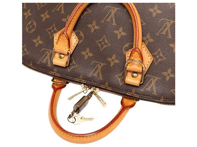 Louis Vuitton Brown Monogram Alma PM - vista 6