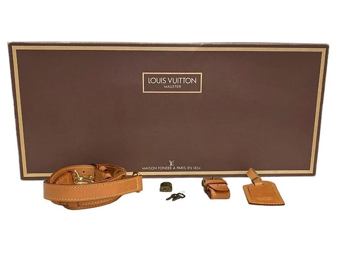 Borsa Boston Bandoulière 50 Louis Vuitton - vista 5