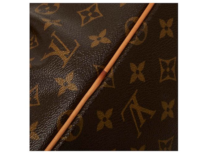 Bolsa Louis Vuitton Monogram Palermo PM - vista 9