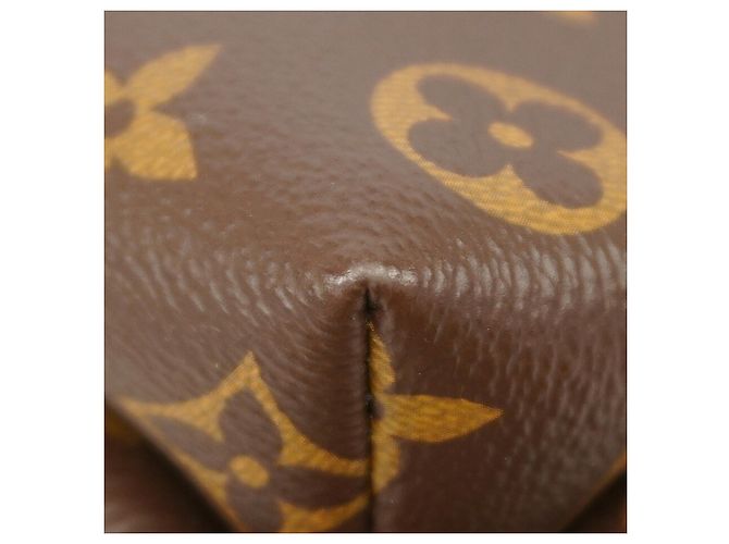 Mochila Louis Vuitton Monogram Macassar Discovery PM - vista 6
