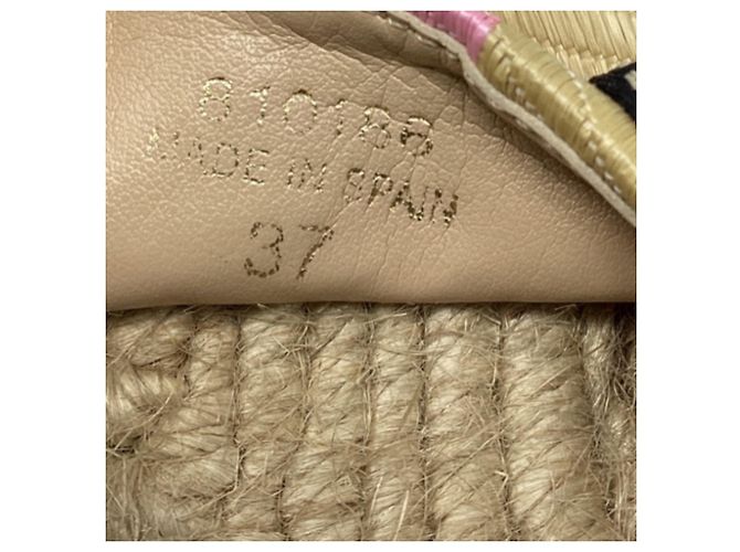 Stella Mc Cartney Stella McCartney Gaia Striped Raffia Platform Espadrilles in Multicolor Raffia - view 6