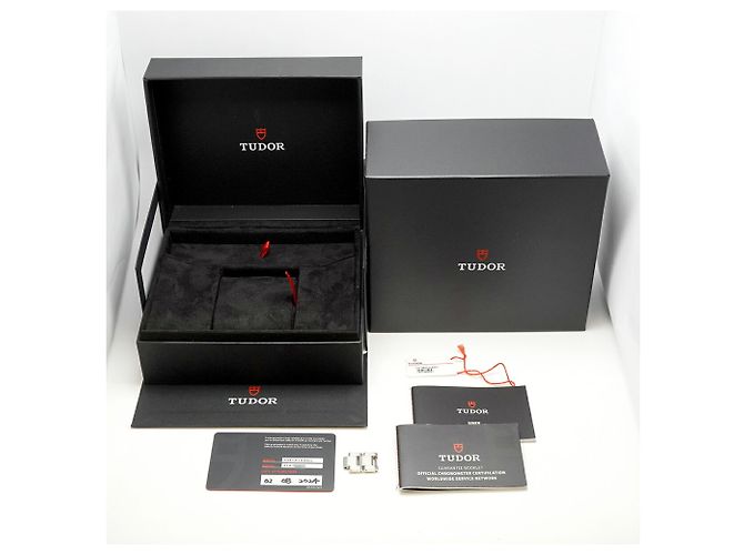 Orologio da polso da uomo Tudor Black Bay 7941A1A0RU Dial - vista 10