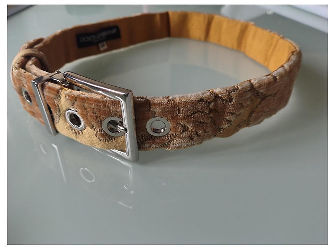 Dolce & Gabbana Gürtel aus Samt mit goldenem Muster - Ansicht 2