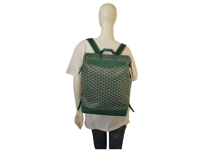 Saint Louis Goyard Alpin MM Zaino Verde - vista 19