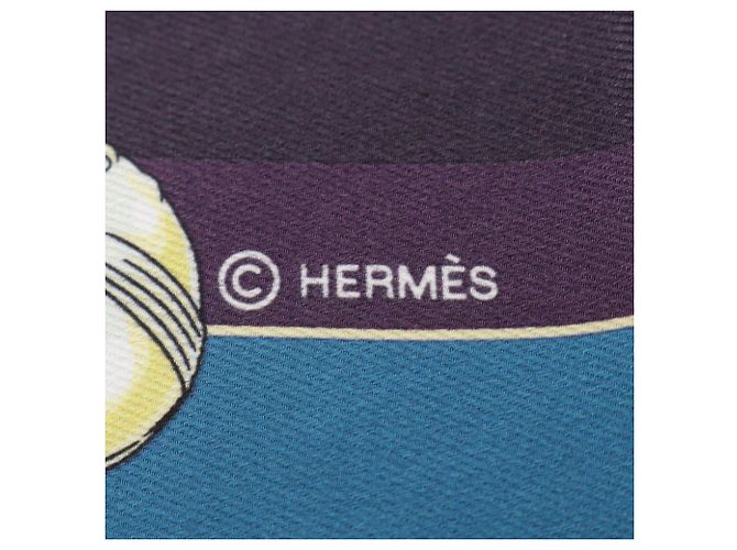 Hermès Hermes Carre 70 Chorus Stellarum Schal - Ansicht 2