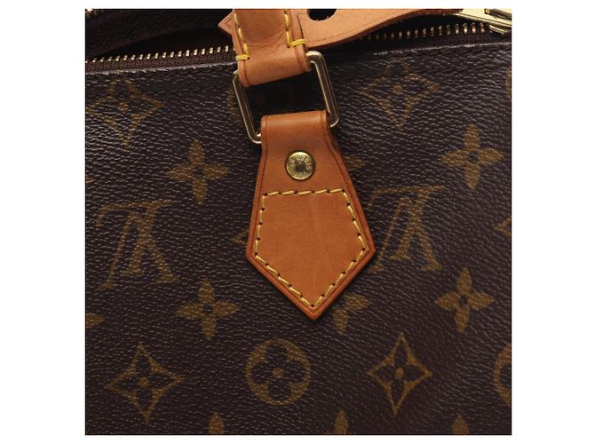 Borsa Louis Vuitton Speedy 25 - vista 10