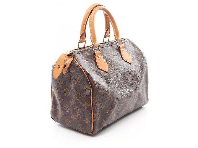 Borsa Louis Vuitton Speedy 25 - vista 2