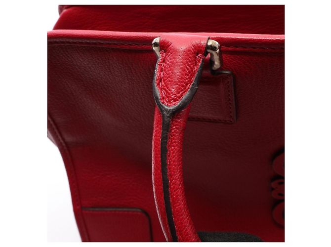 Bolso Loewe Amazona 36 - vista 10