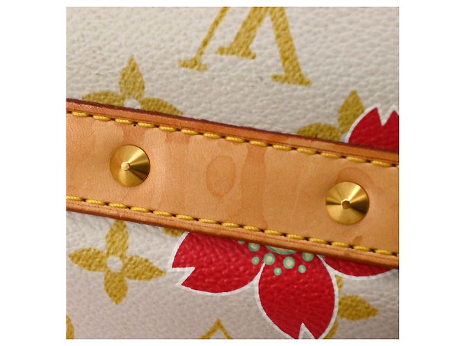 Louis Vuitton Cherry Blossom Sac Retro PM Handbag - vista 14