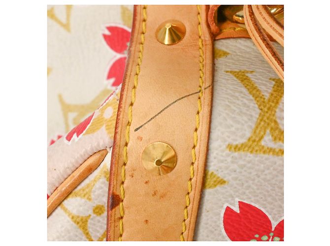 Louis Vuitton Cherry Blossom Sac Retro PM Handbag - vista 15