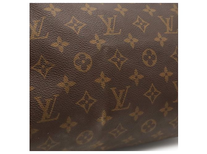 Borsa Louis Vuitton Monogram Speedy 30 M41526 - vista 10
