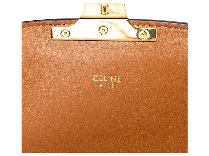 Céline Celine Brown Classique Triomphe Coated Canvas and Calfskin Triomphe Crossbody - vista 5