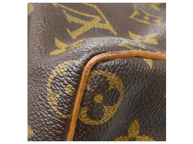 Louis Vuitton Speedy Monogram Canvas 40 - vista 3