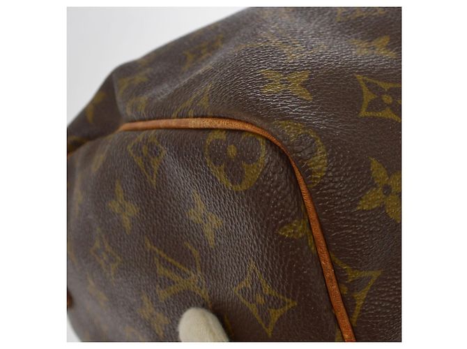 Louis Vuitton Speedy Monogram Canvas 30 - vista 5