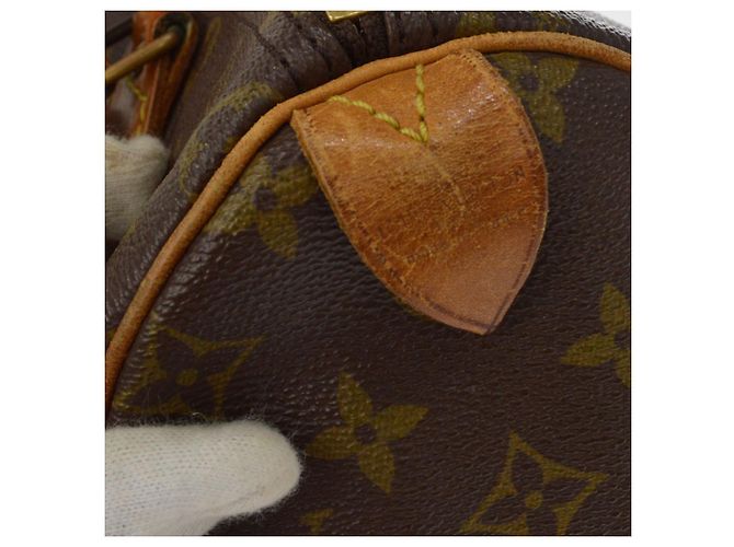 Louis Vuitton Speedy Monogram Canvas 30 - vista 6