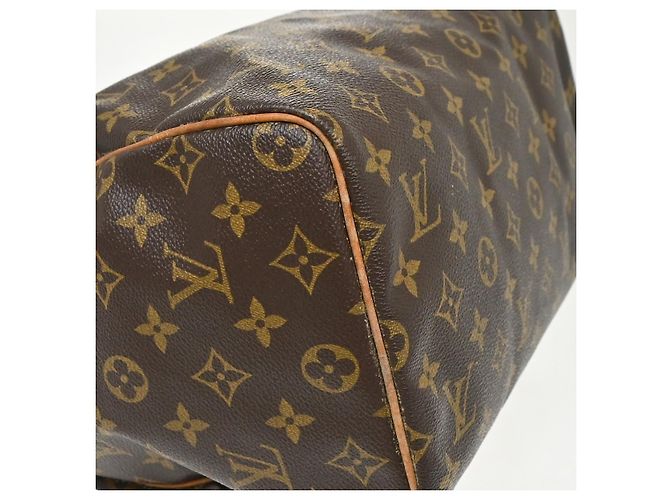 Louis Vuitton Speedy Monogram Canvas 30 - vista 6