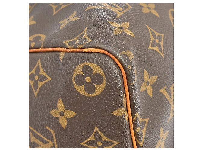 Louis Vuitton Speedy Monogram Canvas 30 - vista 4