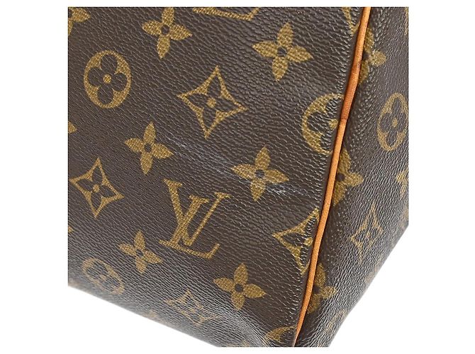 Louis Vuitton Speedy Monogram Canvas 30 - vista 5