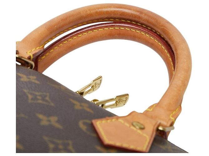 Borsa Louis Vuitton Alma PM - vista 8