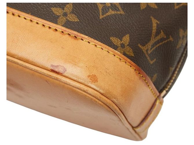 Borsa Louis Vuitton Alma PM Monogram - vista 6