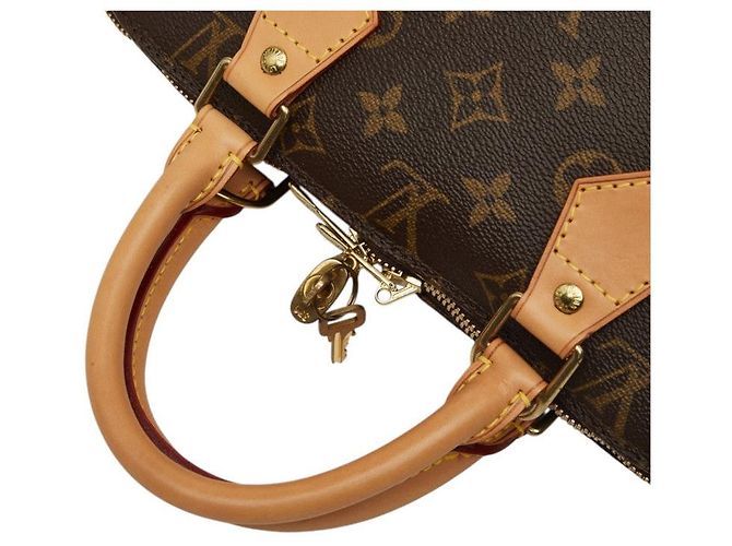 Borsa Louis Vuitton Alma PM - vista 8