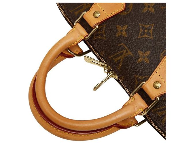 Borsa Louis Vuitton Monogram Alma PM - vista 4