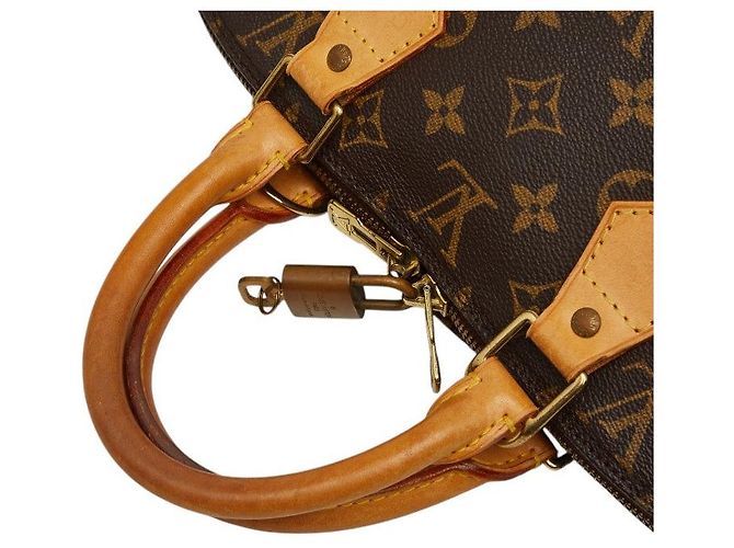 Bolso Louis Vuitton Alma PM - vista 8