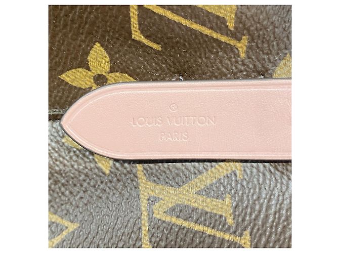 Néonoé Borsa a tracolla Louis Vuitton Monogram NeoNoe MM - vista 5