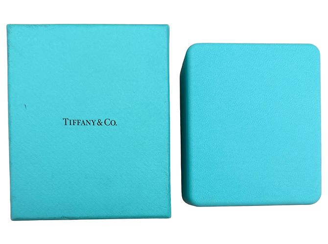 Tiffany & Co. Platin-Diamant-Stecker - Ansicht 5